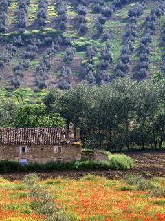 Andalucia, Spain.jpg